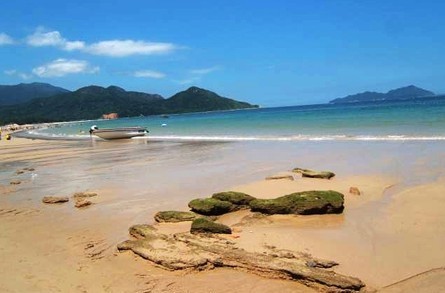 坪洲岛 坪洲岛