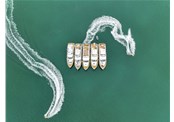 舟山开展打击非法游艇海钓活动